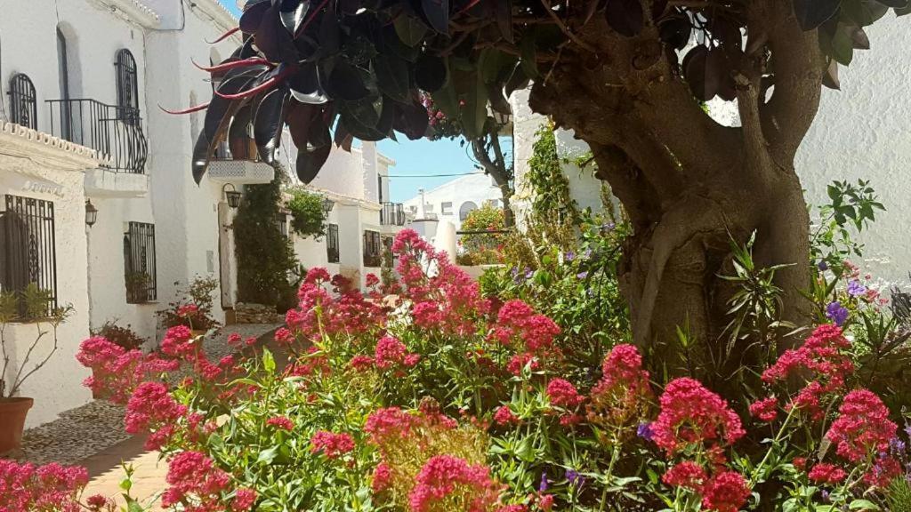 Apartamento Capistrano Village Нерха Екстериор снимка